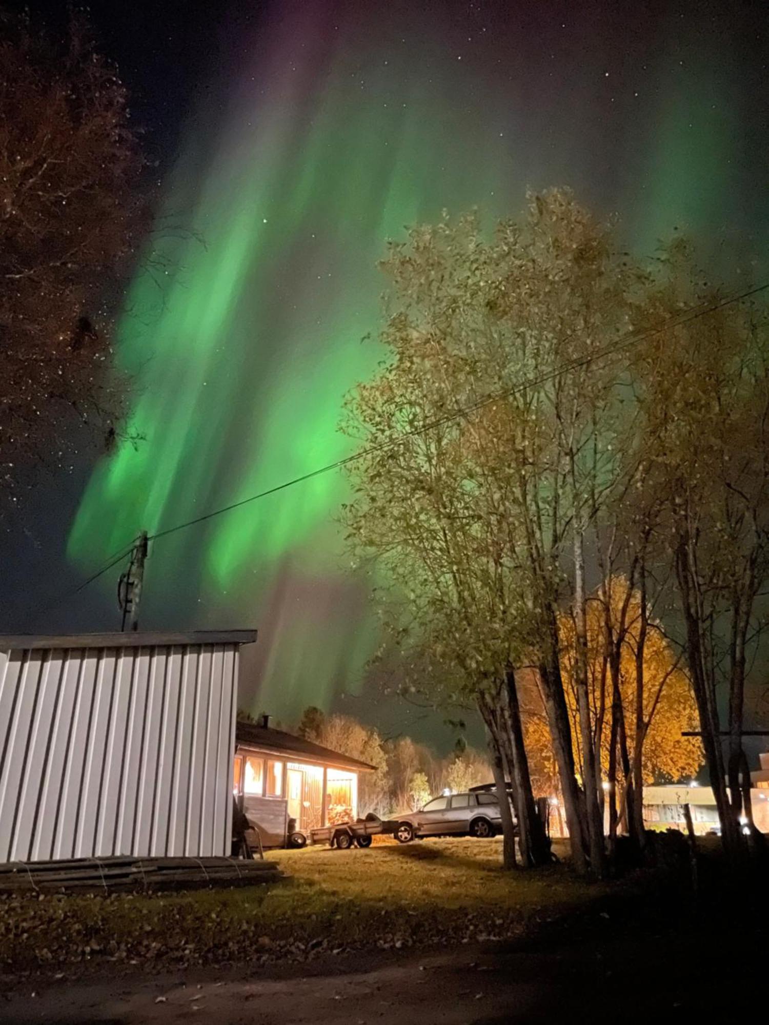 Sentral Og Romslig Leilighet Naert Senja Finnsnes Exteriör bild