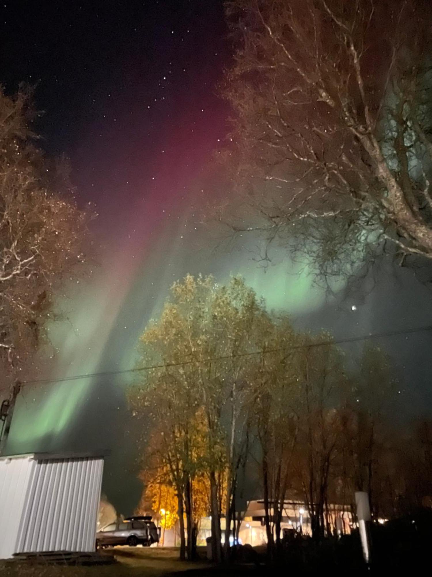 Sentral Og Romslig Leilighet Naert Senja Finnsnes Exteriör bild